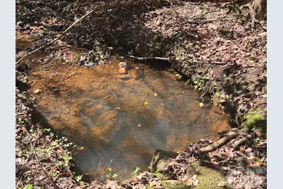 335 Woodrow Hoyle Road, Casar, NC 28020 - Photo 5