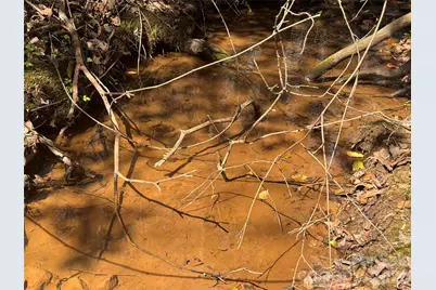 335 Woodrow Hoyle Road, Casar, NC 28020 - Photo 3