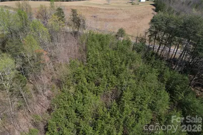 335 Woodrow Hoyle Road, Casar, NC 28020 - Photo 27