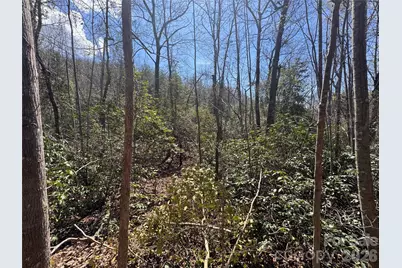 335 Woodrow Hoyle Road, Casar, NC 28020 - Photo 13