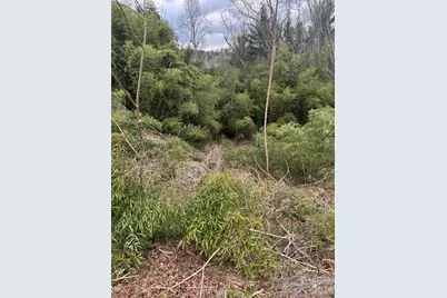 34 Belleair Road, Asheville, NC 28806 - Photo 1