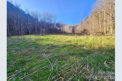 1025 Chandler Cove Road, Marshall, NC 28753 - Photo 31