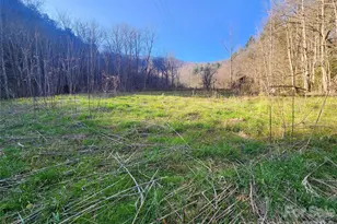 1025 Chandler Cove Rd, Marshall, NC 28753 - Photo 31