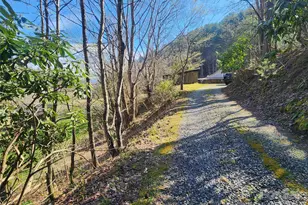 1025 Chandler Cove Rd, Marshall, NC 28753 - Photo 27