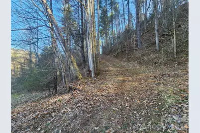 1025 Chandler Cove Road, Marshall, NC 28753 - Photo 45