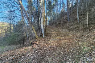 1025 Chandler Cove Rd, Marshall, NC 28753 - Photo 45