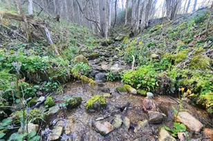 1025 Chandler Cove Rd, Marshall, NC 28753 - Photo 39