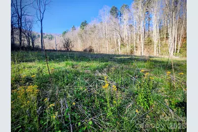 1025 Chandler Cove Road, Marshall, NC 28753 - Photo 37