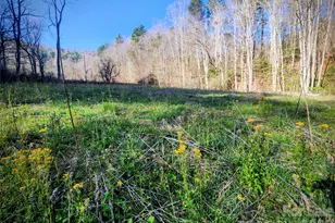 1025 Chandler Cove Rd, Marshall, NC 28753 - Photo 37