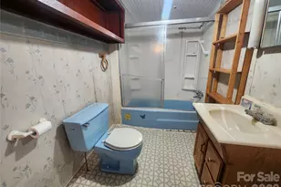 1025 Chandler Cove Rd, Marshall, NC 28753 - Photo 9