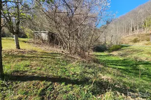 1025 Chandler Cove Rd, Marshall, NC 28753 - Photo 25