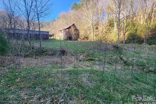 1025 Chandler Cove Rd, Marshall, NC 28753 - Photo 43