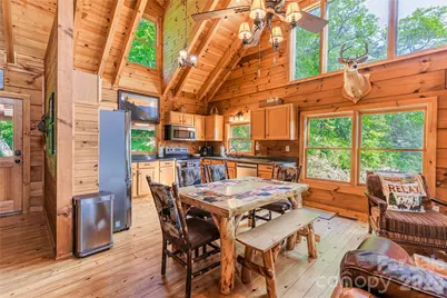 460 Briggs Cove Road, Robbinsville, NC 28771 - Photo 15