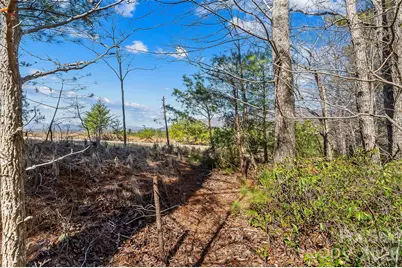 121 Lake Crest Drive #lot 37 & 36, Nebo, NC 28761 - Photo 7