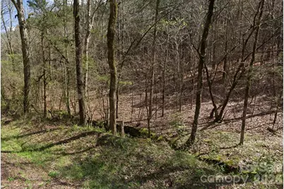 0 Morton Road, Polkton, NC 28135 - Photo 1