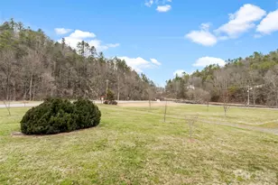 58 Gunter Town Rd, Marshall, NC 28753 - Photo 27