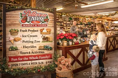 Lot 213 Swink Avenue, Salisbury, NC 28147 - Photo 19