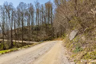 Tbd Dads Retreat Trail, Canton, NC 28716 - Photo 1