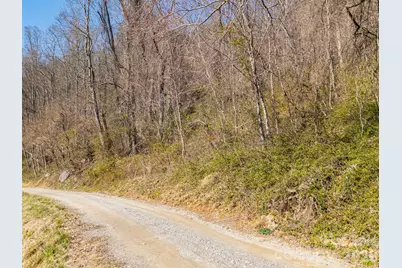 Tbd Dads Retreat Trail, Canton, NC 28716 - Photo 19
