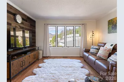 2F Lynx Drive, Black Mountain, NC 28711 - Photo 9