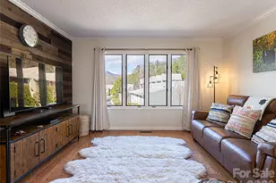 2F Lynx Dr, Black Mountain, NC 28711 - Photo 9