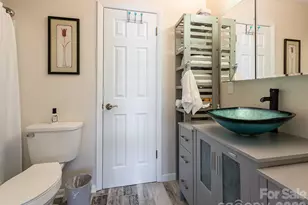 2F Lynx Dr, Black Mountain, NC 28711 - Photo 33