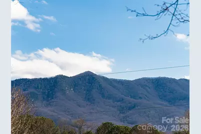 2F Lynx Drive, Black Mountain, NC 28711 - Photo 39