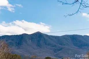 2F Lynx Dr, Black Mountain, NC 28711 - Photo 39