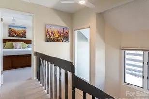 2F Lynx Dr, Black Mountain, NC 28711 - Photo 29