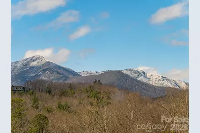 2F Lynx Drive, Black Mountain, NC 28711 - Photo 5