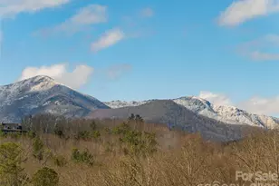 2F Lynx Dr, Black Mountain, NC 28711 - Photo 5