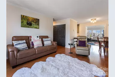 2F Lynx Drive, Black Mountain, NC 28711 - Photo 11