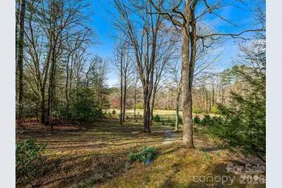 1663 Glen Cannon Drive, Pisgah Forest, NC 28768 - Photo 39