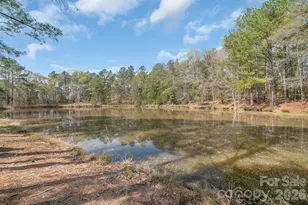 2695 Addison Rd, Lancaster, SC 29720 - Photo 37