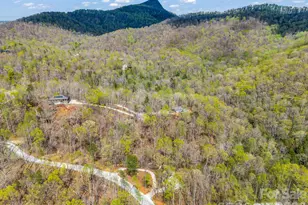 780 Rixhaven Dr, Saluda, NC 28773 - Photo 9