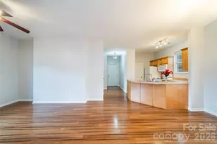 10 Northbrook Pl, Asheville, NC 28804 - Photo 9