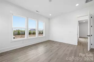 1043 Pinecone Ave, Indian Land, SC 29707 - Photo 13