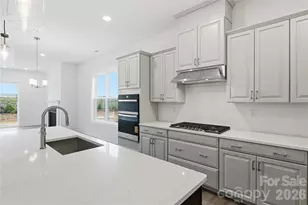 1043 Pinecone Ave, Indian Land, SC 29707 - Photo 3