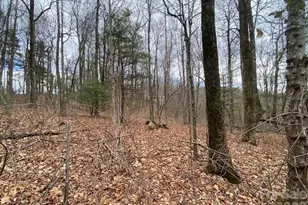 395 W Chestnut Ridges Rd, Hendersonville, NC 28739 - Photo 1