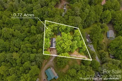 611 Turkey Creek Terrace, Leicester, NC 28748 - Photo 39