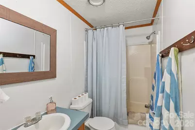 611 Turkey Creek Terrace, Leicester, NC 28748 - Photo 29