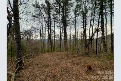 Tbd Mantera Ridge, Sugar Grove, NC 28679 - Photo 9