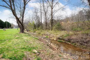 107 Loch Haven Rd, Swannanoa, NC 28778 - Photo 31