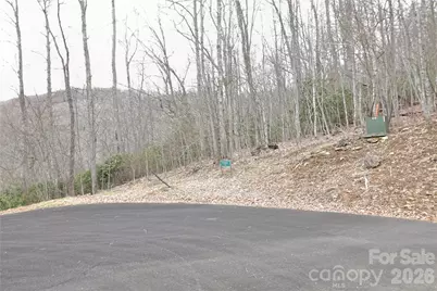 Tbd Chardonnay Court #1, Newland, NC 28657 - Photo 1