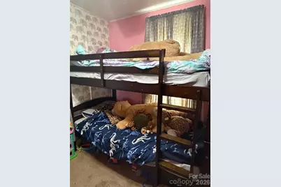 28 Red Bridge Lane, Sylva, NC 28779 - Photo 19