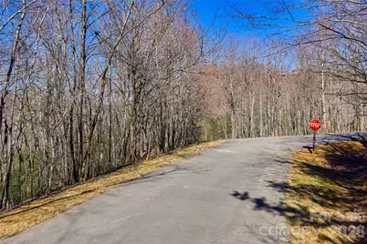 459/461 Feather Falls Trail, Black Mountain, NC 28711 - Photo 5