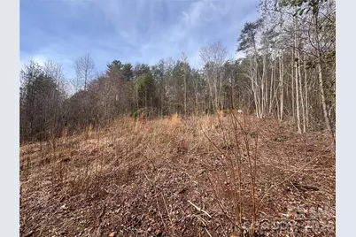 00 Billings Hill Church Road #56, Traphill, NC 28685 - Photo 5