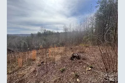 00 Billings Hill Church Road #56, Traphill, NC 28685 - Photo 9