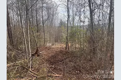 00 Billings Hill Church Road #56, Traphill, NC 28685 - Photo 1