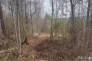 00 Billings Hill Church Rd, Traphill, NC 28685 - Photo 1